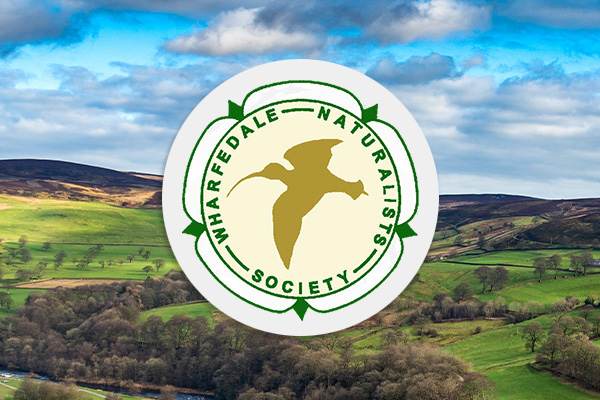 Wharfedale Naturalists’ Society